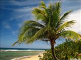 Playa Peñón Brusi - CAMUY